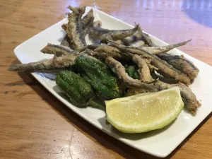 Cerveceria Catalana