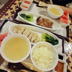 Green Bird User Photo