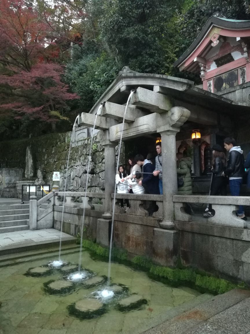 青龍寺旅遊攻略指南 青龍寺評論 青龍寺附近推薦 Trip Com