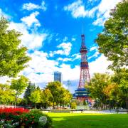 自然及野生動物