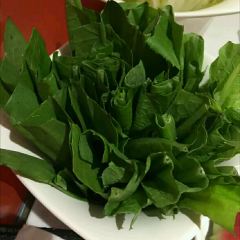 海底捞火锅(万象汇店) User Photo