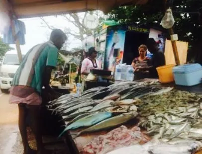 Sea Food Weligama