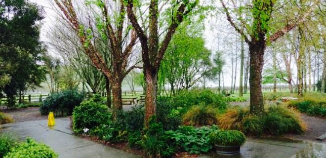 Te Awa Winery Restaurant & Cellar Door