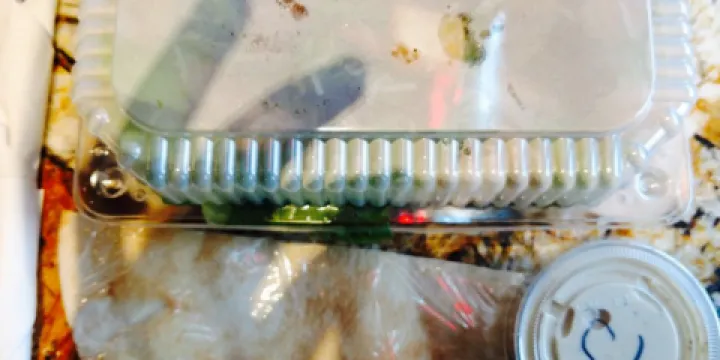 Ken's NY Deli & Brick Oven Pizzeria