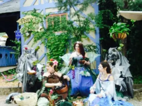 The Peacock Tea Room