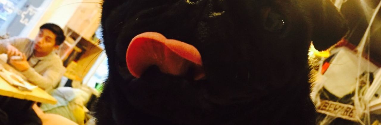 Crossroad Puzzle: Interactive Lounge