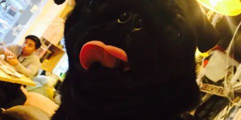 Crossroad Puzzle: Interactive Lounge