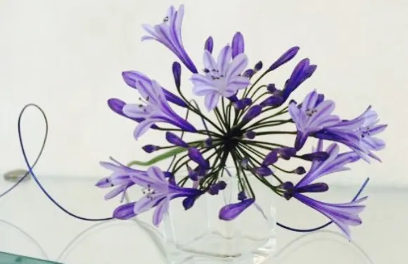 Panoramico Ristorante