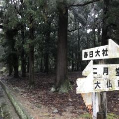 Mizuya Chaya User Photo