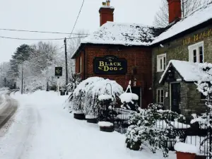 The Black Dog Inn