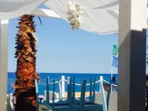 Palua