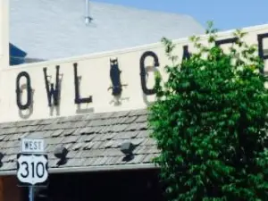 Owl Junction