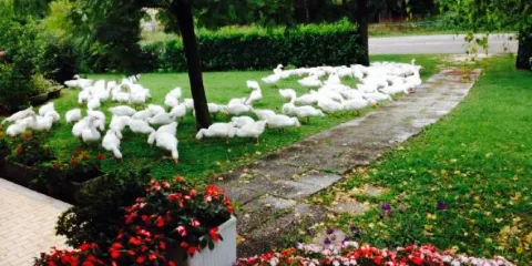 Agriturismo ai Laghetti