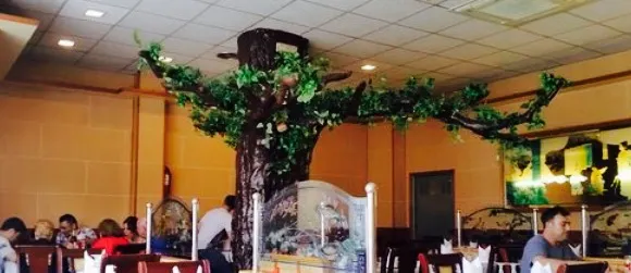 Restaurant Xinès Nou Món