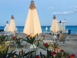 Wave Club