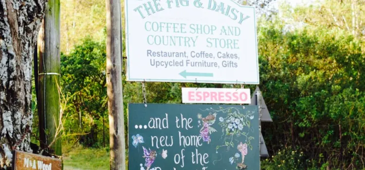 The Fig and Daisy