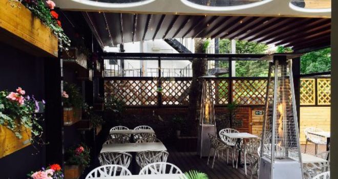 Divino Wine Bar