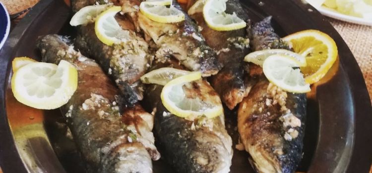 Etno Restoran Socica