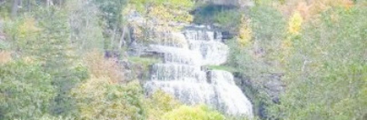 Captain Bill's Seneca Lake