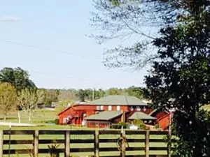 Carriage & Horses