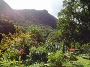 Gajimanro