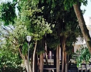 Casale Dei Cavalieri