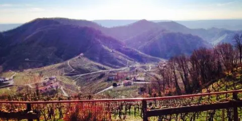 Agriturismo La Rondine