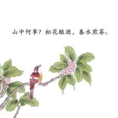 KFC (gaoxin) User Photo