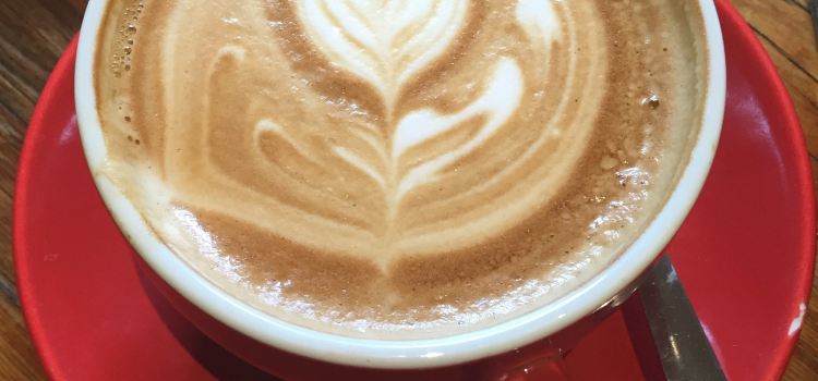 Sunflower Caffé