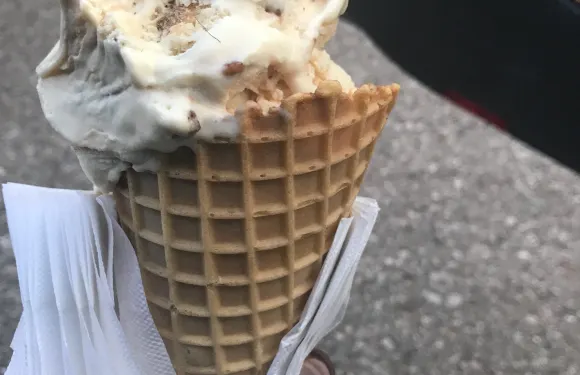 Jay's Ice Cream & Sunshine's Gelato