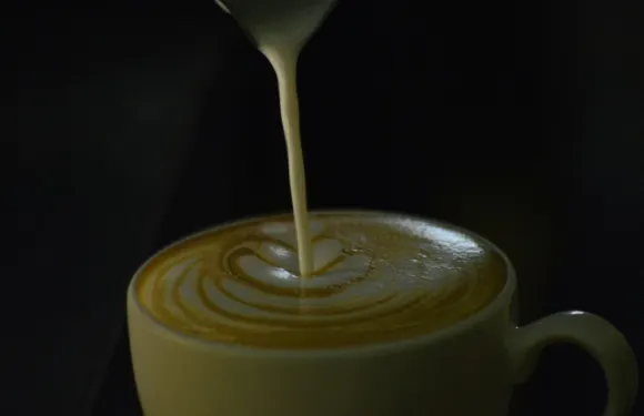 Al Grano Cafe