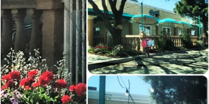 Rosa's Café & Tortilla Factory