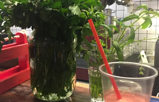 Marta's Veggie Fusion