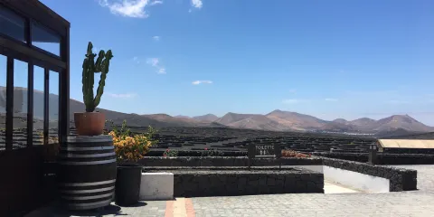 Restaurante Bodegas Rubicon