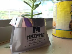 Mazama Coffee Co