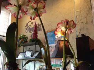 Carlton's