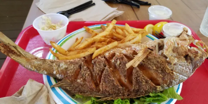 Key Largo Fisheries Backyard