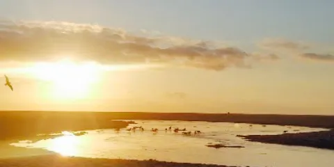 Restaurante Bar Old Beach