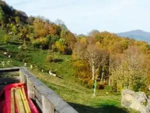 Ferme Auberge du Thanner-Hubel