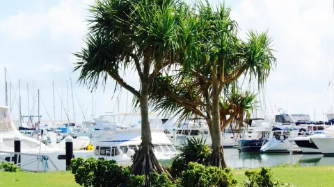 The Waterline Restaurant, Keppel Bay Marina in 옙푼