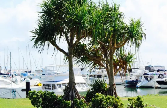 The Waterline Restaurant