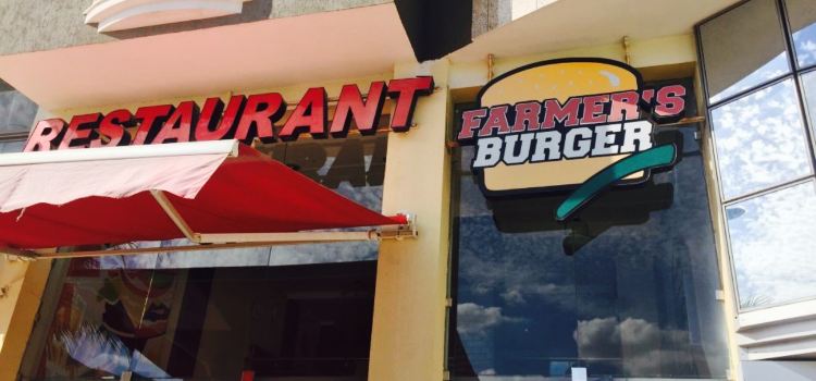 Farmers Burger