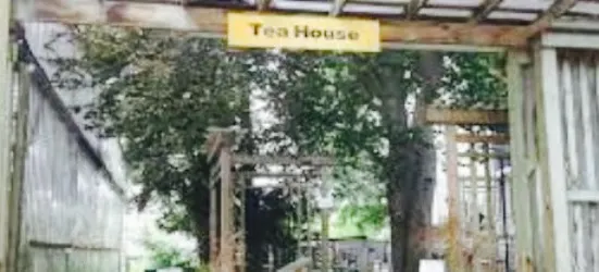 Degroot's Garden Tea House