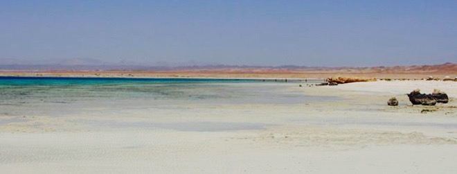 Sharme El Luli