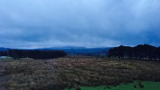 Tebay Services