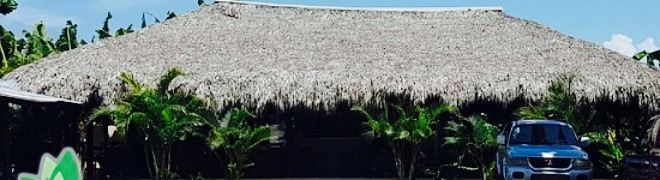 Mi Jardin Restaurant Pizza & Steak House