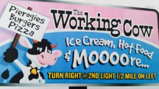 The Working Cow