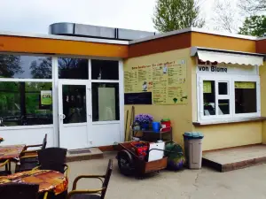 Café am See im Tiergarten