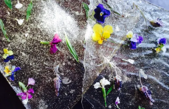 The Edible Garden Cafe/Restaurant