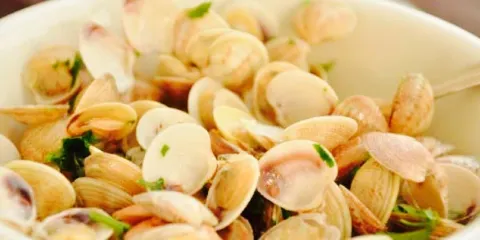 Circolo Velico Ravennate